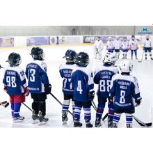  Спортивные секции для детей по фигурному катанию и хоккею.