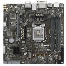 Asus Asus P10S-M WS