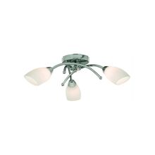 ARTE LAMP  Потолочная люстра Opal A8186PL-3CC
