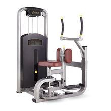 Bronze Gym MV-011 Торс-машина