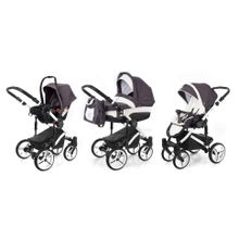 Коляска 3 в 1 Esspero Magic (шасси White) - Grey Leves