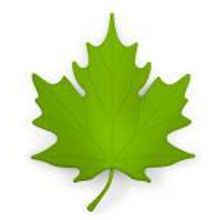 Qualy Подпорка для двери Autumn зеленая арт. QL10072-GN