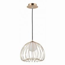 Maytoni Polly MOD542PL-01G