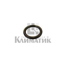 0020014183 Прокладка 19,8x3,6 (10 штук) Protherm