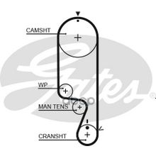 Ремень Грм Gates арт. 5535XS