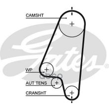 Ремень Грм Daewoo Lanos 1.4, 1.5 97-, Kalos 1.4 05-, Nexia 1.5 95-97  Astra F, G 1.4, 1.6 -06, Corsa A, B Gates арт. 5310XS