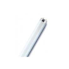 OSRAM Люминесцентная лампа для растений OSRAM L 15W 77 T8 Fluora