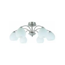 ARTE LAMP  Потолочная люстра Bowl A8289PL-6SS