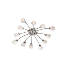 Потолочный светильник Odeon Akron 2469 12C