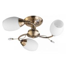 Toplight Люстра на штанге TopLight Alana TL3580X-03AB ID - 422682