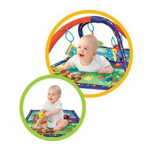 Жирафики Домашние животные