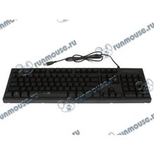 Клавиатура Genius "Scorpion K6", подсветка, черный (USB) (ret) [141437]