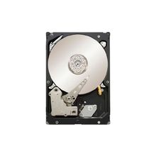 Seagate ST500NM0001