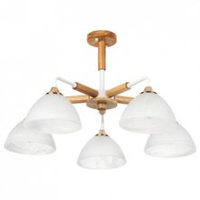 Arte Lamp Люстра на штанге Arte Lamp Matthew A5032PL-5BR ID - 417157