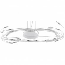 Lightstar Подвесная люстра Lightstar Ovale 784346 ID - 388611