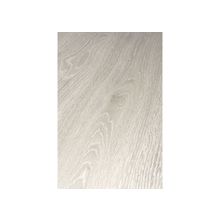  32168  Дуб Котбус  Grande