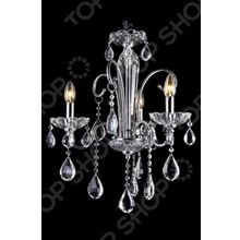 Natali Kovaltseva Velletri 10655 3C CHROME, CLEAR