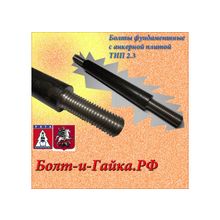 М100x6x4500. Болт фундаментный с анкерной плитой тип 2.3 сталь 45 ГОСТ 24379. 1-80.