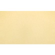 А.С. и Палитра 70113-36