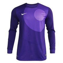 Свитер Nike Вратаря Ls Park Iv Gk Jsy 448265-547 Jr