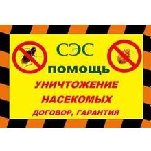 Уничтожение насекомых в Нижнем Новгороде