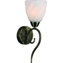 Бра Arte Lamp A6253AP-1BA SWIRLS