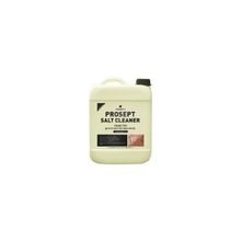 PROSEPT SALT CLEANER – Средство очистки высолов с фасадов зданий