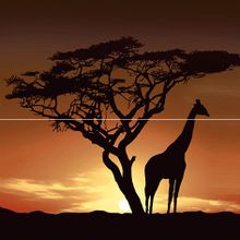 Панно Ceramica Classic Africa P2-1D210 (из 2 плиток) 400х400