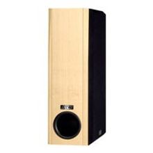 ASW Loudspeaker OPUS SW 200   06