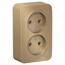 Розетка двухместная BLANCA, открытый монтаж, титан |  код. BLNRA000204 |  Schneider Electric