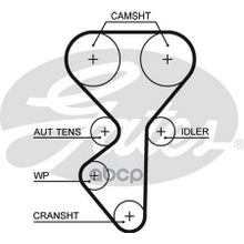 Ремень Грм Gates арт. 5631XS