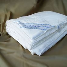 Шелковое одеяло Exclusive всесезонное 140*205 см  Silk Dradon 70610