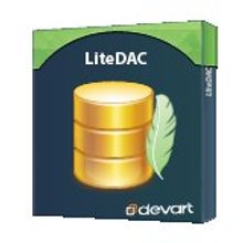 DevArt DevArt LiteDAC Source Code - Upgrade team license