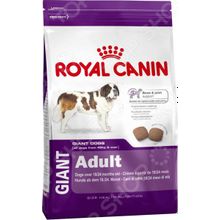 Royal Canin Giant Adult