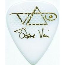 1000SVWHR STEVE VAI PICK