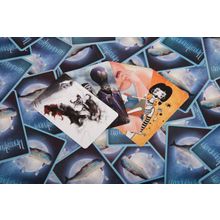 Stupid Casual Химера Имаджинариум