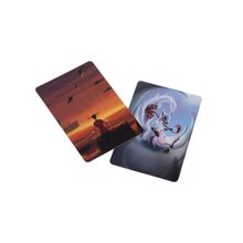 Stupid Casual Химера Имаджинариум