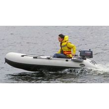 Лодка Баджер Utility Line UL 330 PW9