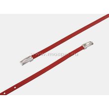 Alexander TS Тонкий ремень AT10-24 красный