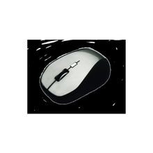 Мышь Chicony MS-4776W 2,4Ghz, USB black-silver, blister package, 1600dpi
