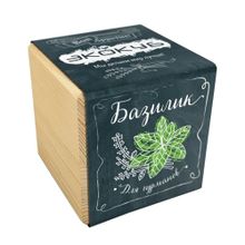 Эко куб для выращивания Базилик