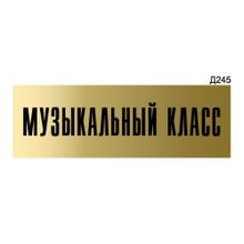 Информационная табличка «Музыкальный класс» прямоугольная Д245 (300х100 мм)