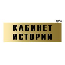 Информационная табличка «Кабинет истории» прямоугольная Д250 (300х100 мм)