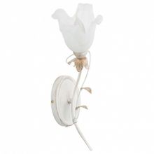 Alfa Бра Alfa Estera New 17070 ID - 437284