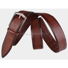 Alexander TS Брючный ремень AT35-115 коньячный