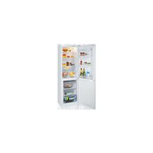 Холодильник Hotpoint-Ariston HBM 1201.4