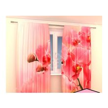 Фотошторы розовая орхидея