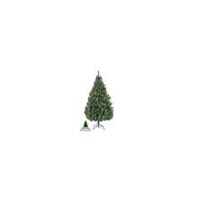 Triumph Tree Елка Благородная 215 см зеленая, стройная арт. o-88928