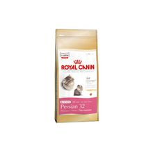 Royal Canin Kitten persian (Роял Канин Киттен Персиан) сухой корм для котят