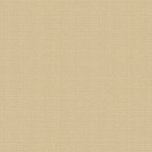 Andrea Rossi Razzoli 54180 5 54180 5